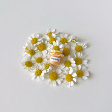 Load image into Gallery viewer, Bee Sweet Earrings