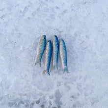 Load image into Gallery viewer, Fancy Fish Dinner Earrings